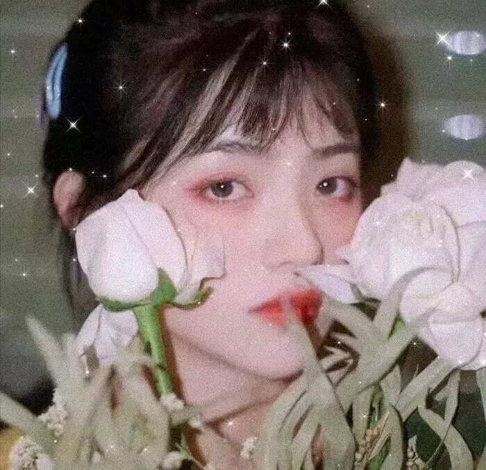 女子十二不设防